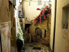 183 D25 BORMES LES MIMOSAS 3_000003
